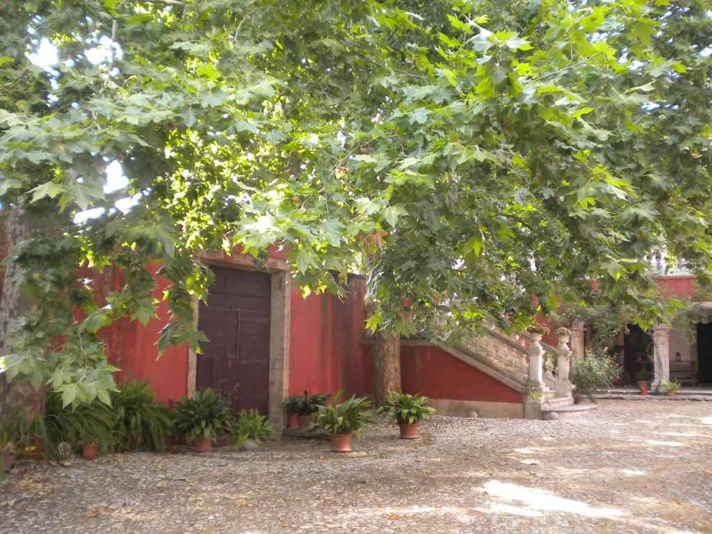 Casa Dos Vargos Bed and Breakfast Torres Novas Exterior foto